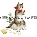 あとさき塾がどんなところか解説します。/ 絵本作家になる