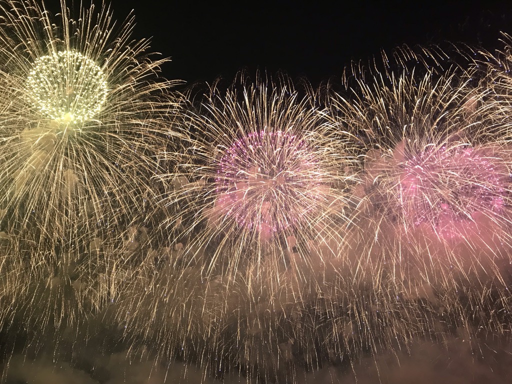 長岡 花火 テレビ 2019