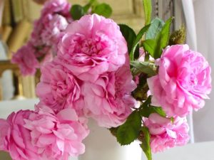 わたしはこうして絵本作家になりました、がネットで読めます。