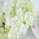 小野忠弘さんのこと：映画「天上の花」に寄せて