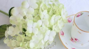 小野忠弘さんのこと：映画「天上の花」に寄せて